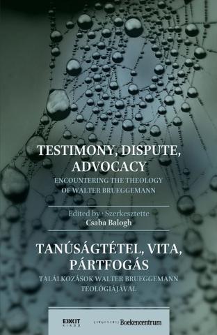 Brueggemann Testimony