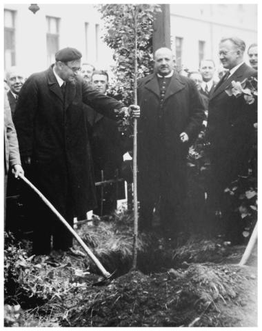 Karl Barth fát ültet a Teológiai Fakultás udvarán